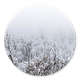 Besneeuwde Takken