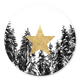 Bomen en Gouden Ster