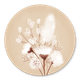 Droogbloemen Beige