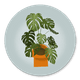 Housewarming Monstera