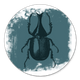 Insect met witte verf