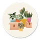 Verhuisdozen met Plantjes