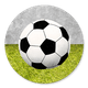 Voetbal met Gras en Beton