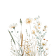 Sluitzegel veldbloem wit