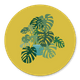 Nieuwe Woning Monstera