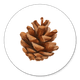 kerst - denneappel3