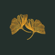 Ginkgo donkergroen K