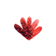 hart confetti