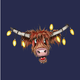 hooglander kerst