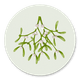 Mistletoe NL