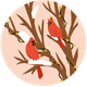 Rode vogels
