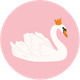Zwaan