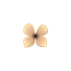 Bloem met gouden rand