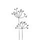 fluitekruidje