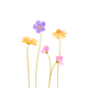 Wilde bloemen