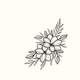 Bloemen zwart