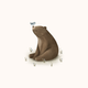 Beer jongen