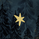 Kerstbomen en ster blauw