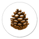 Sluitzegel dennenappel