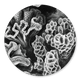 Sluitzegel Ernst Haeckel