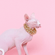 Naaktkat bling