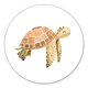 Sluitzegel schildpad