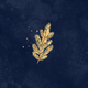 Gouden takje donkerblauw