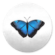 Sluitzegel vlinder blauw