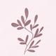 Zeepaardje waterplant roze