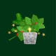 Viooltje op groen kerst