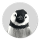 Sluitzegel pinguin