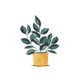 Plantje bij verhuizing