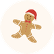 Kerstkoekje