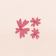 roze bloemen
