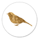 Geboorte - vogel goudlook