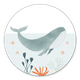 Geboorte walvis oceaan