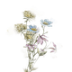 WildeBloemen Sluitzegel Rouwkaart