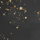 Zwart met gouden glitter