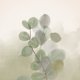 Groene waterverf eucalyptus takjes