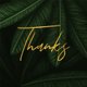 Jungle bladeren met gouden 'thanks'