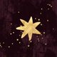Geboorte - abstract ster goud b
