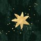 Geboorte - abstract ster goud d