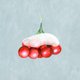 Kerst besjessneeuwrood