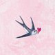 Birth_Zwaluw_pink