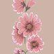 Baby_Veldbloem