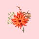 Party_Fall Flower_Pink