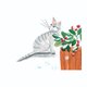 Christmas_Cat_Canada