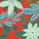 Christmas_flower_rood
