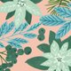 Christmas_flower_pink
