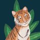 Baby_Tijger